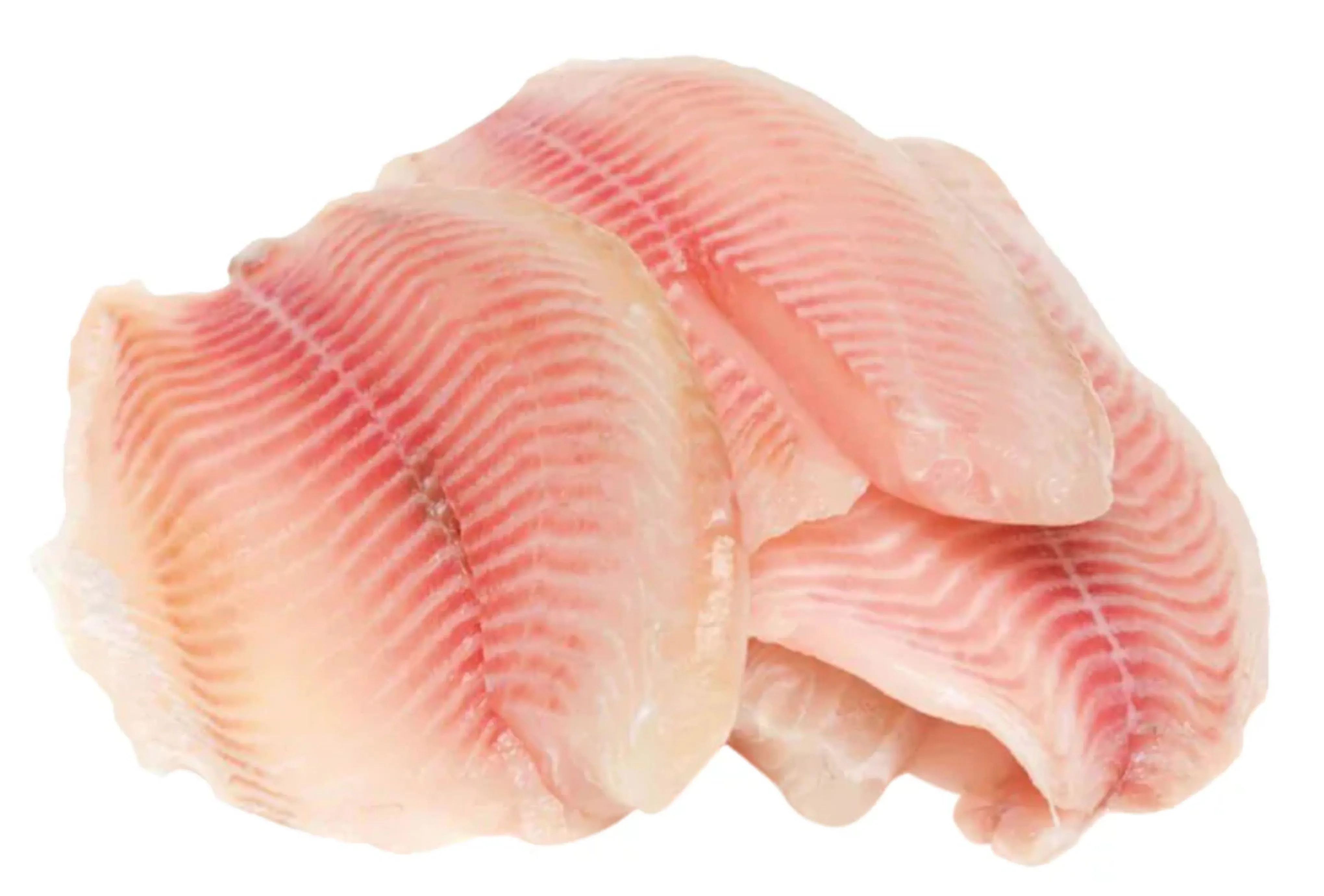 Filete de Tilapia