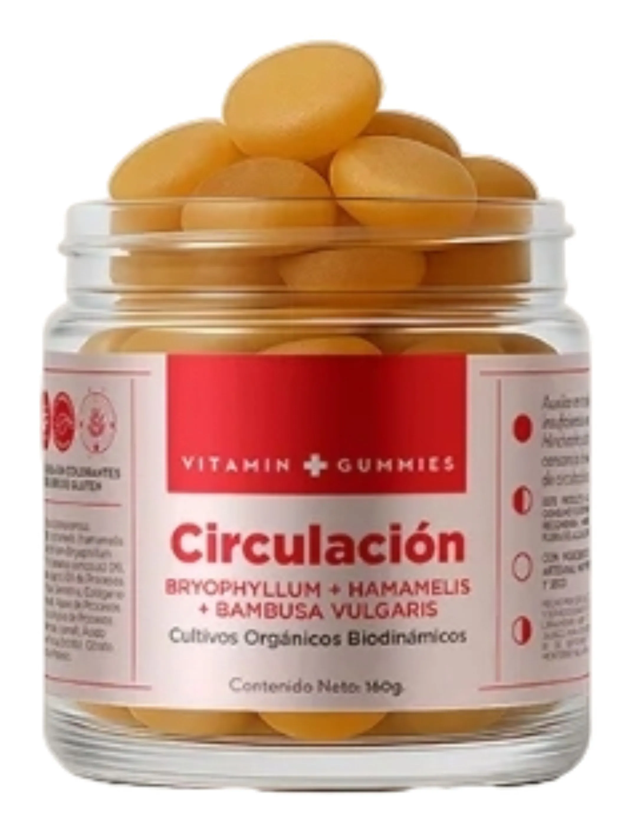 Vitamin G. Circulación Activa