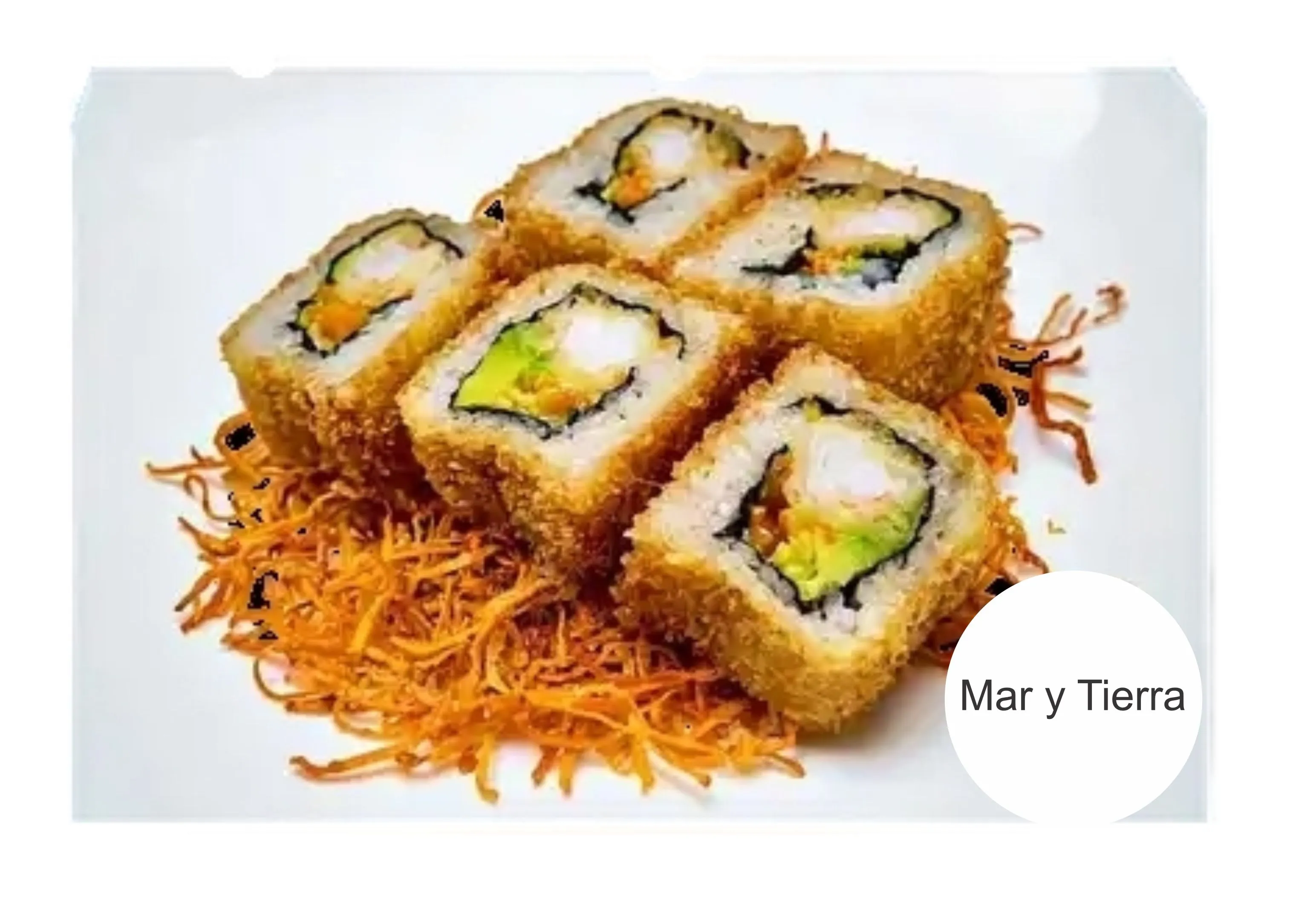 Mar y tierra