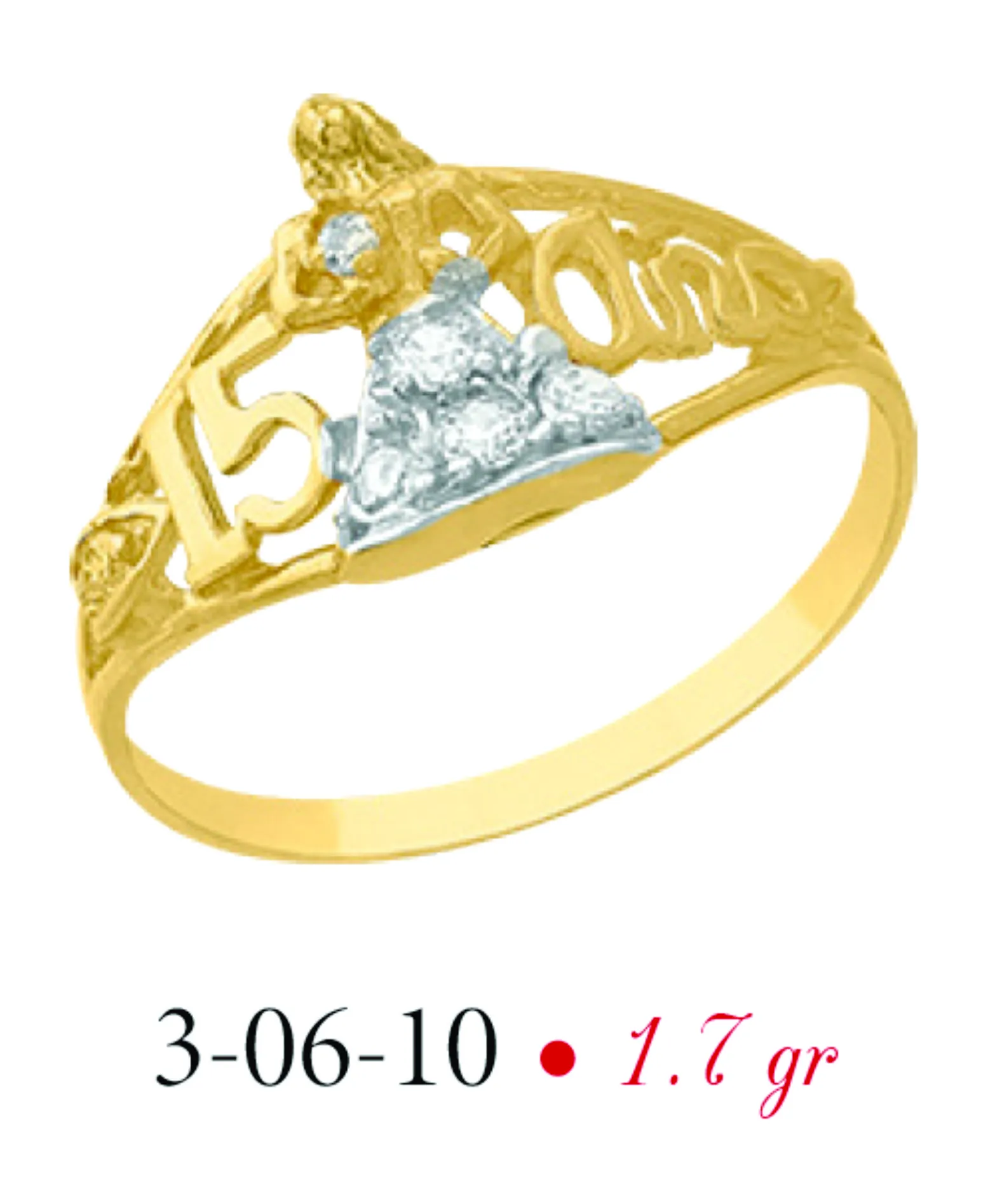 Anillo modelo 3-06-10