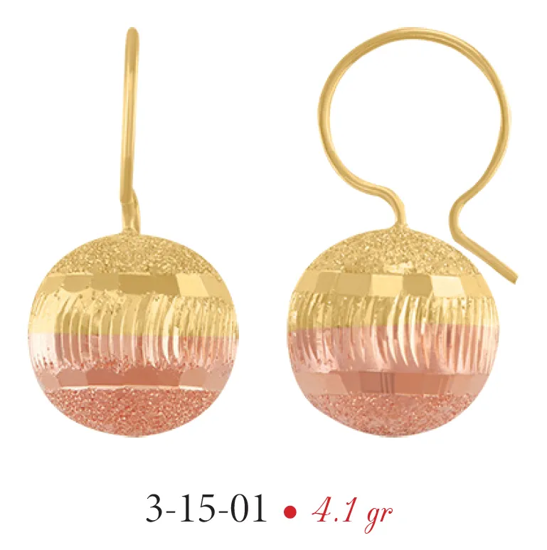 Aretes Modelo 3-15-01