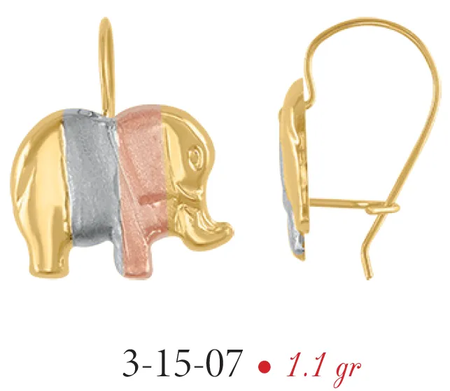 Aretes Modelo 3-15-07