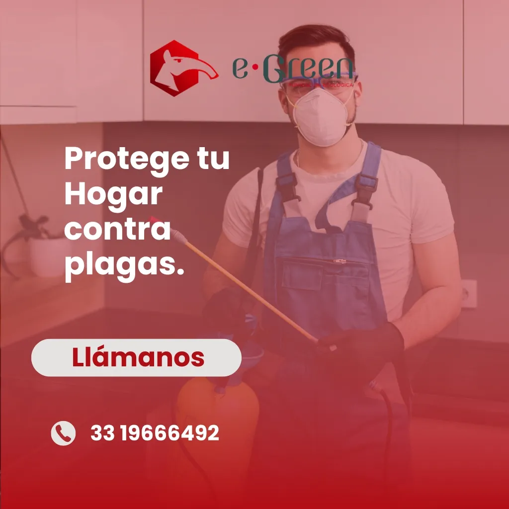 Servicio Preventivo