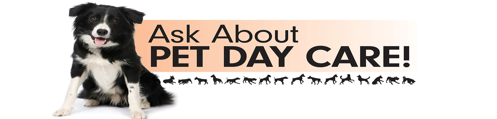 reeco_slider1_122_122